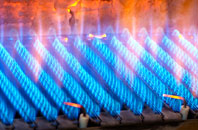 Tredrizzick gas fired boilers
